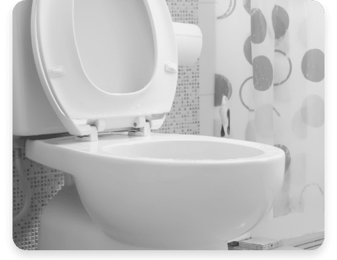 Toilet repair in Tacoma, WA